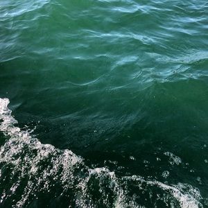 Meet your Posher, Jillian